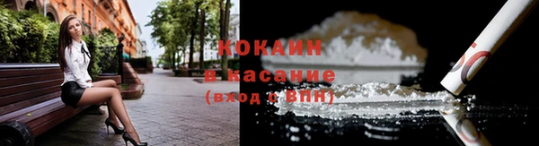 эйфоретик Пересвет