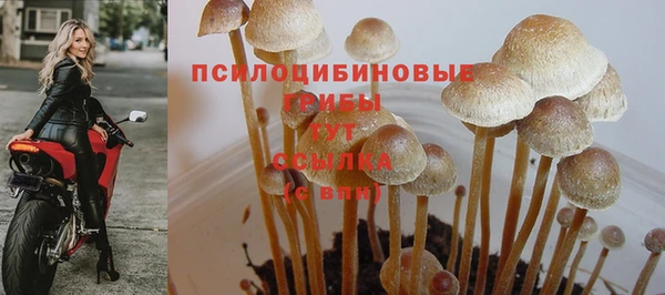 ешки Абаза