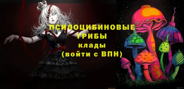 ешки Абаза