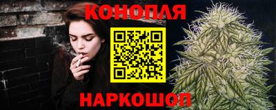 mdpv Краснознаменск