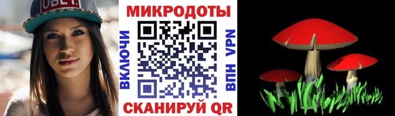 Псилоцибиновые грибы Cubensis  продажа наркотиков  Кашира 